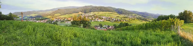 Panoramabild von Wittnau